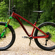 Dartmoor Hornet Custom
