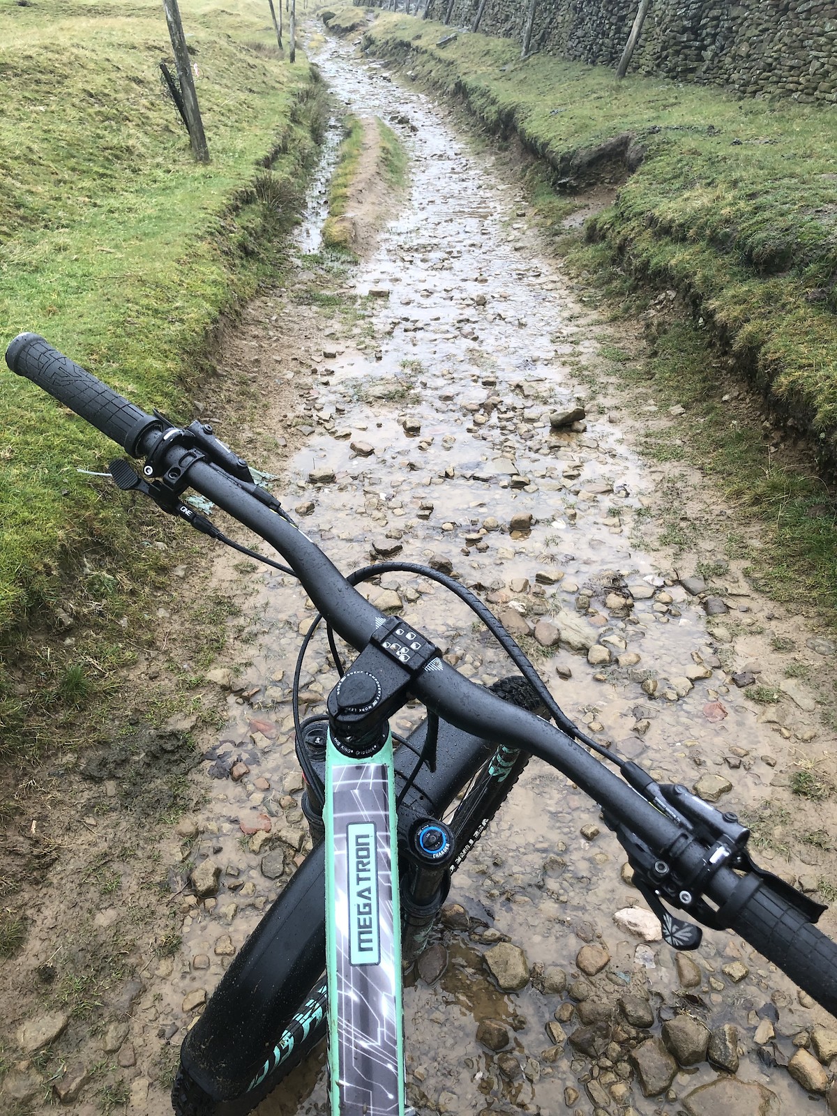 Santa Cruz 'Megatron' Megatower - Richard_Ayres's Bike Check