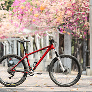 Prone To Blossom - Octane One Prone