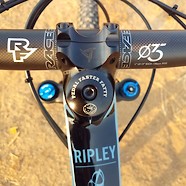 Ibis Ripley