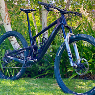 Tallboy 4 - "The Covid Custom"
