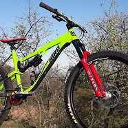 Mullet-Custom Bird Aeris 145 Wasabi-Ketchup-Design