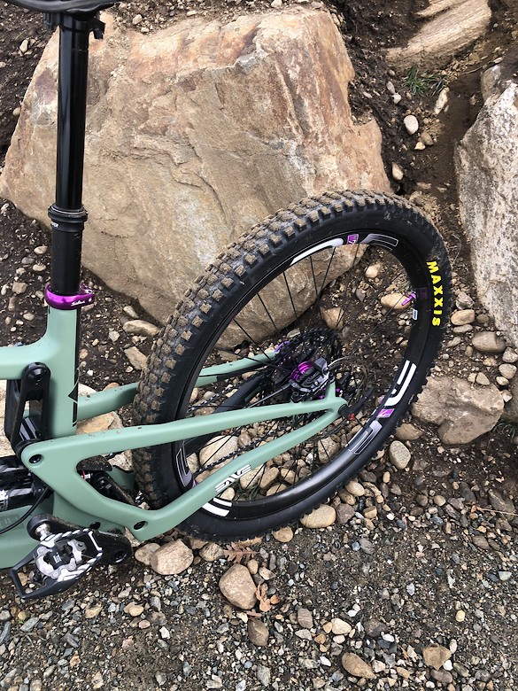santa cruz bronson olive
