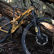 Custom Sentinel V2 Loam Gold