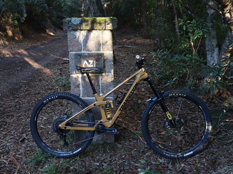Loam gold sentinel clearance