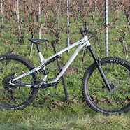 Meta AM 29 2021