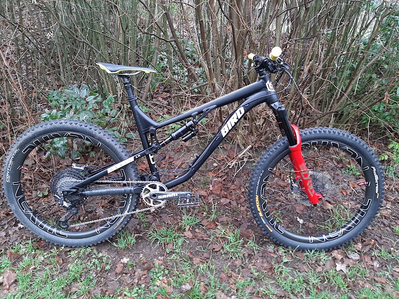 Bird aeris 145 clearance