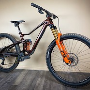 Custom Devinci Troy