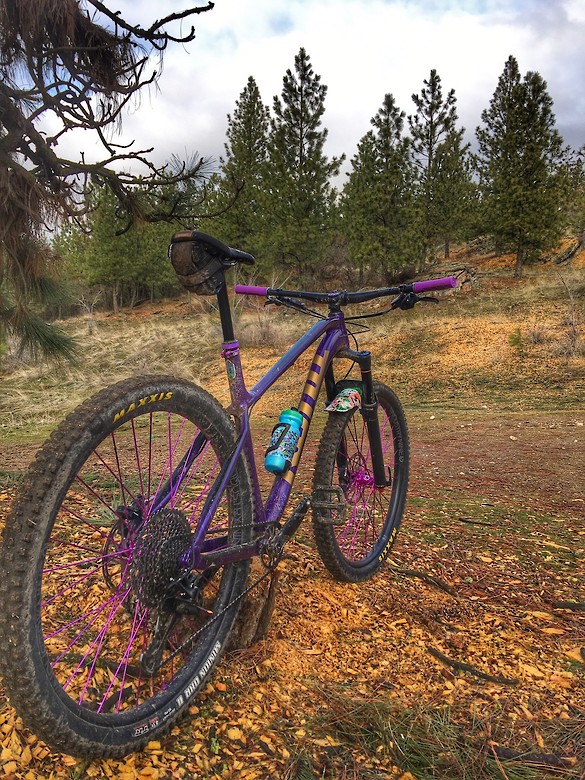 Kona Honzo AL/DL 2020 Purple-er - mini_tim's Bike Check ...