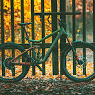 Bandit 675