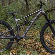 Specialized Status 160 "Jibbduro v2"