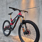 Intense Tracer 2019 Custom Build