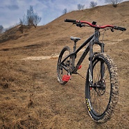 Dartmoor Hornet Black custom