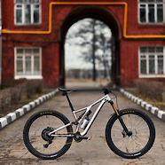 Specialized stumpjumper EVO