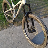 Commencal Meta AM29 XX Edition Custom build