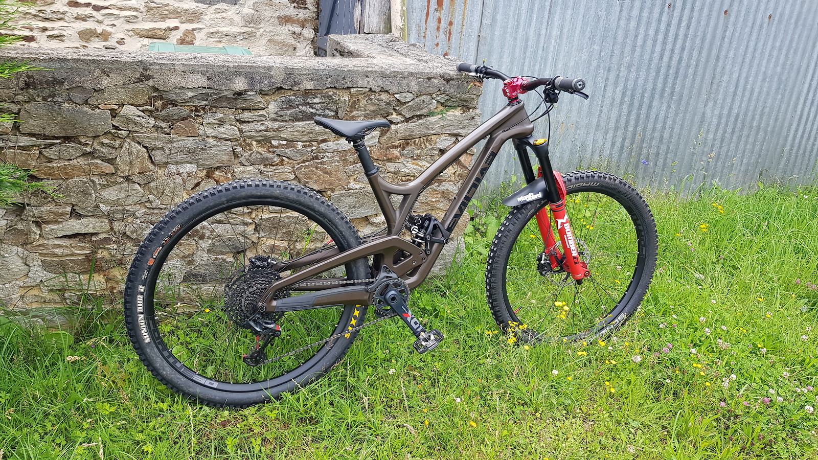 Evil Wreckoning LB 2019 Rusty ELRIKANOS's Bike Check Vital MTB