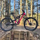 Lacy's Specialized