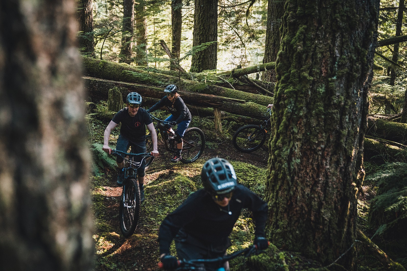Julia, Emmett and Lucy climb back up NSBillet03 Mountain Biking