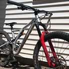Specialized Stumpjumper evo double coil