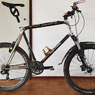 Koga Miyata SkyRunner Carbolite