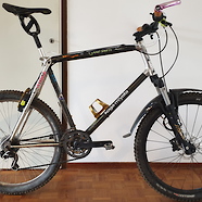 Koga Miyata SkyRunner Carbolite