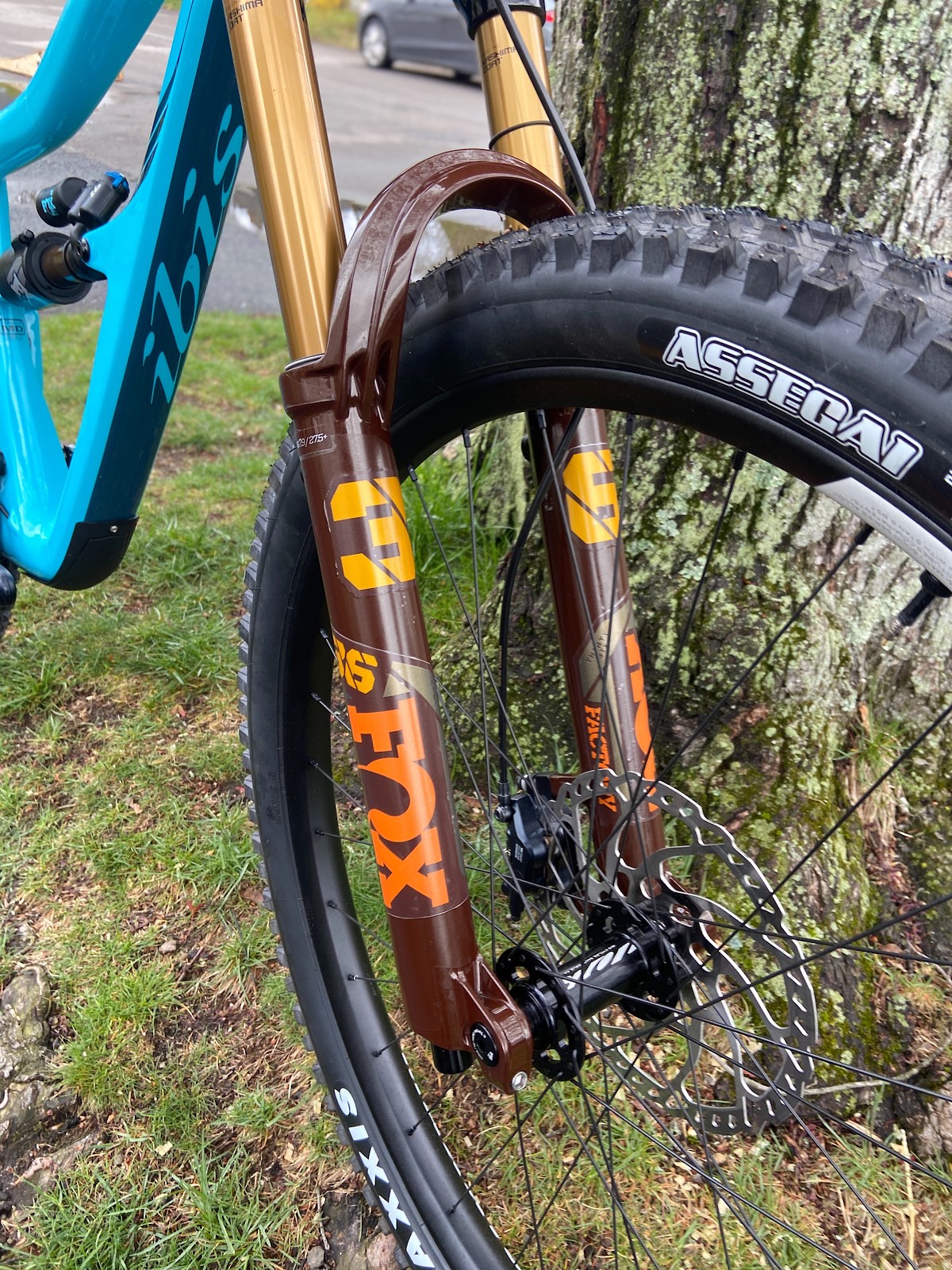 s1600 original 3.jpg?VersionId=3VAz5s4Qdc0ch1rvm