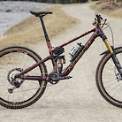 Custom 2020 Norco Sight Carbon 29
