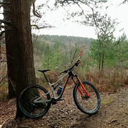 Rocky Mountain Instinct C90