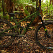 2020 Pivot Switchblade