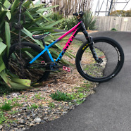 Marin Alcatraz custom build