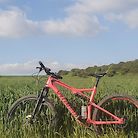 Specialized Epic Comp Carbon 2018 - Pink Panther