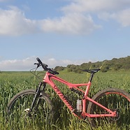 Specialized Epic Comp Carbon 2018 - Pink Panther
