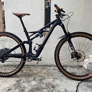 Specialized Enduro elite 2019