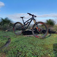 Zerode Katipo Belt