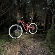 Canyon spectral mullet bike