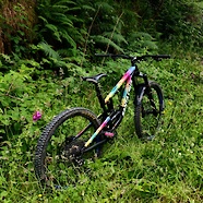 Santa Cruz nomad