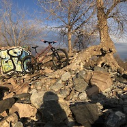 Sick Wulf AM 27.5