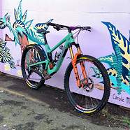 TrailHorse's Santa Cruz