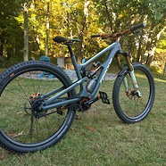 Zerode Katipo