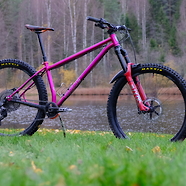 The Pink Panther