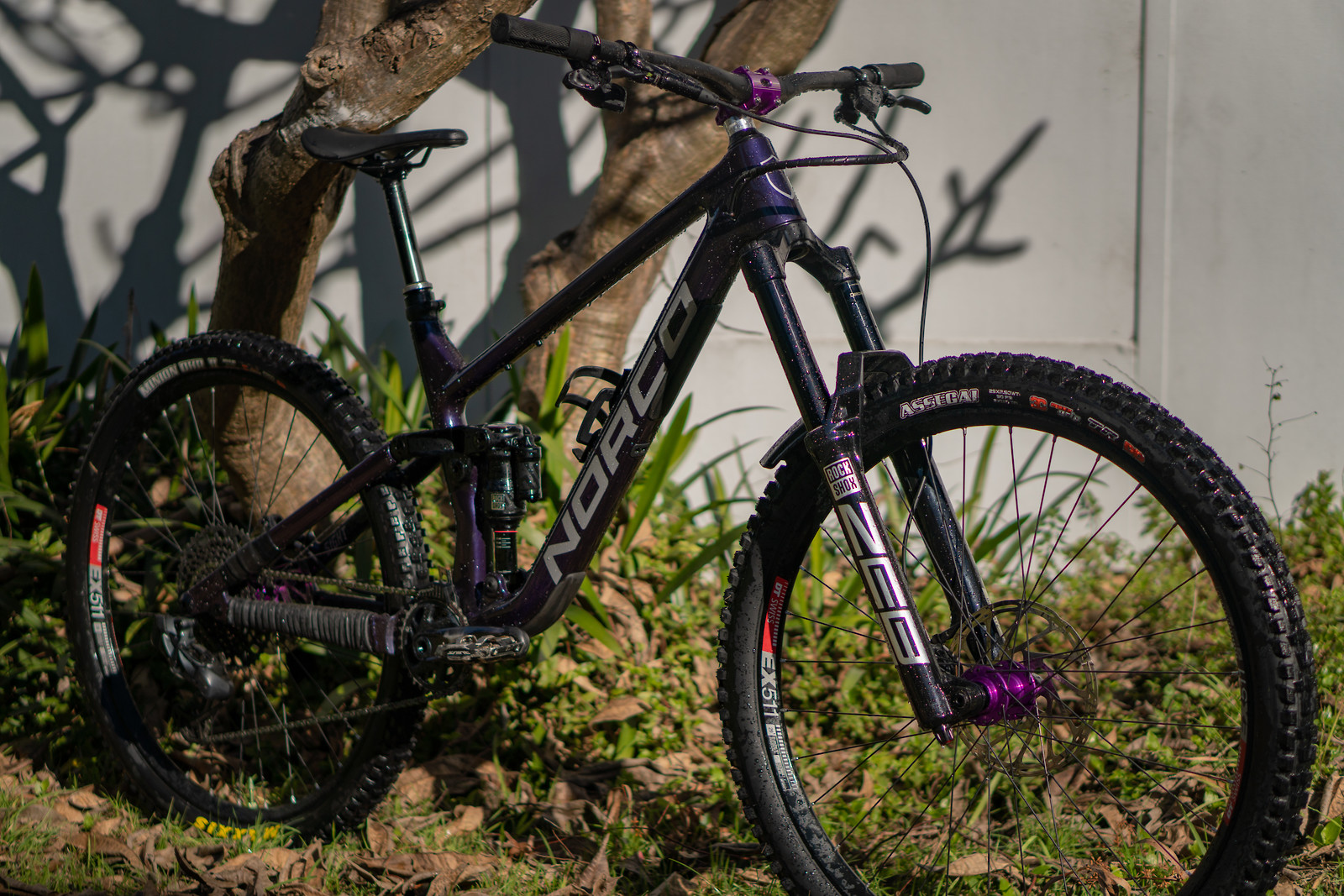 norco sight a2 review