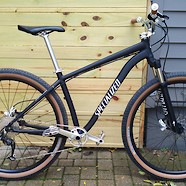 Custom Specialized 29er