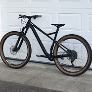 2020 Orbea Laufey (XL)