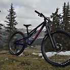 Rocky Mountain Altitude 2021
