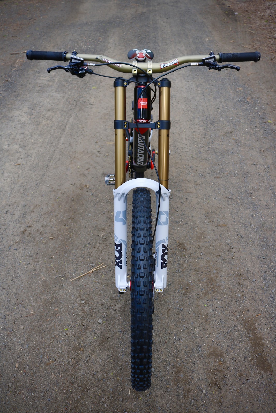 santa cruz v10 custom paint