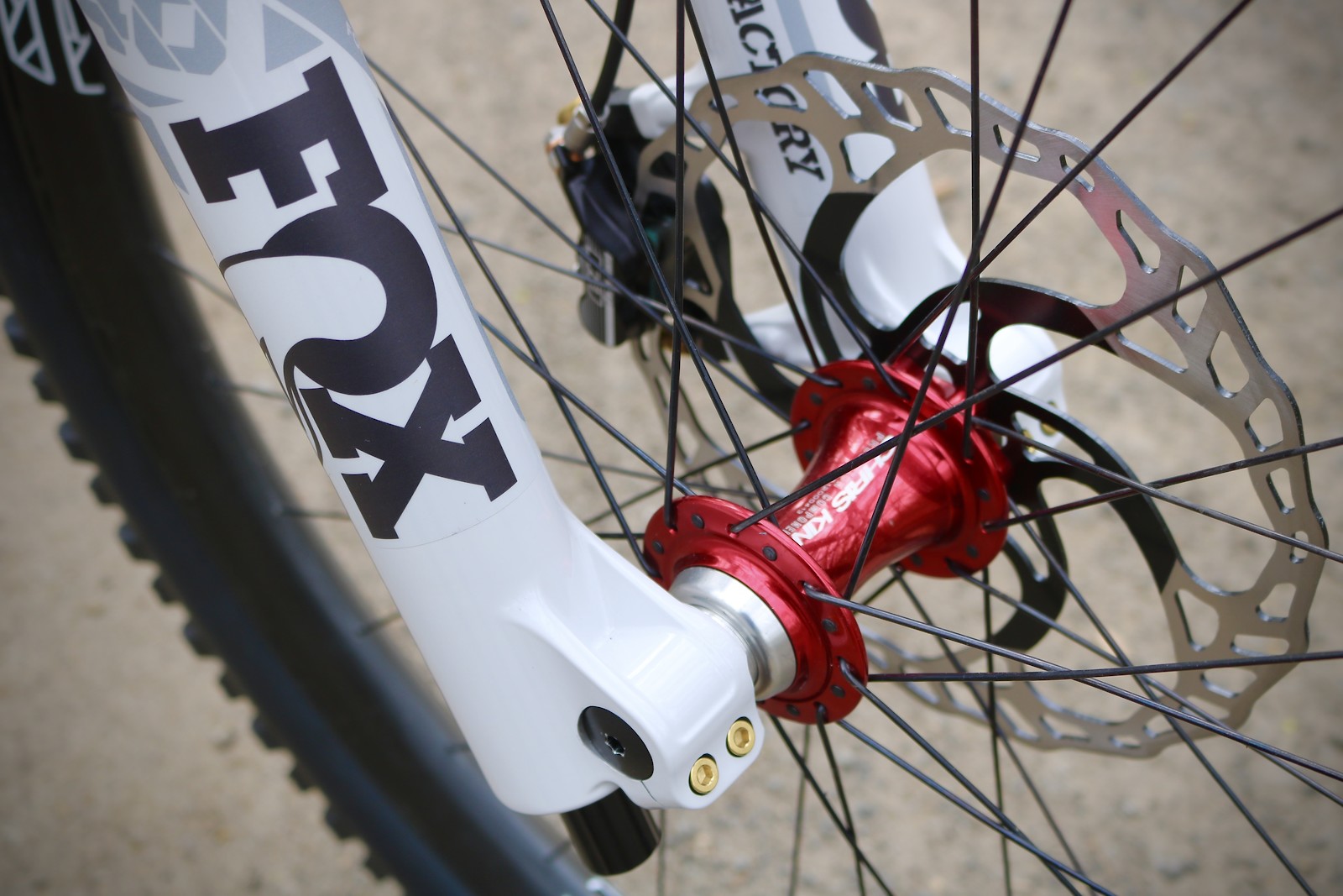 santa cruz v10 custom paint