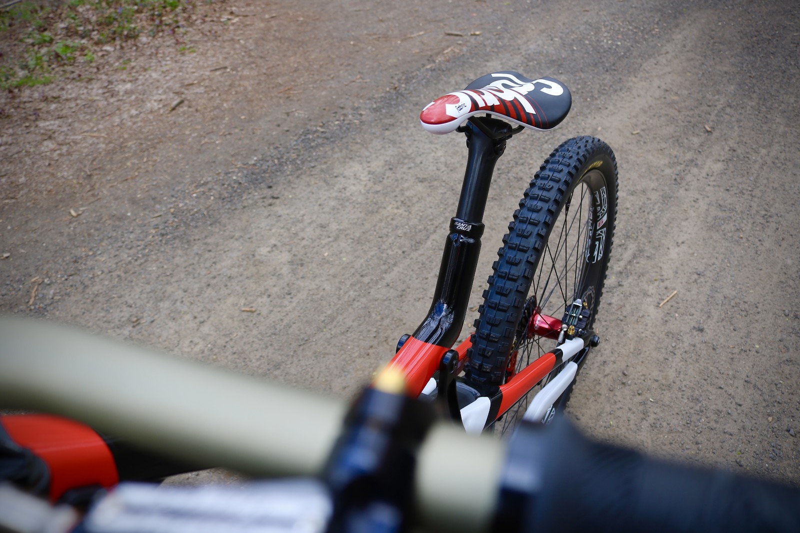 santa cruz v10 custom paint