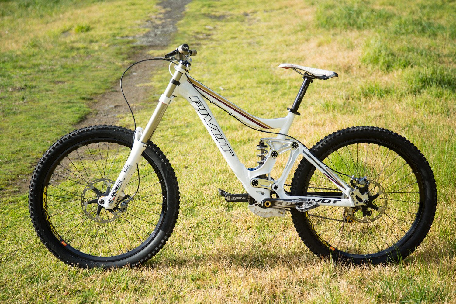 pivot phoenix frame