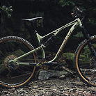 Nukeproof Reactor 290 Tiger King