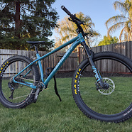 Plus Size Santa Cruz Chameleon